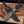 Western Damascus bowie knife with black leather sheath and Stag Steel Knives care card